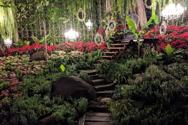 Three Monkeys – ресторан в джунглях с панорамой на Пхукет