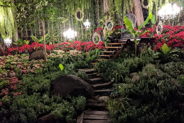 Three Monkeys – ресторан в джунглях с панорамой на Пхукет