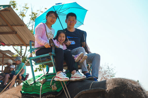 Катание на слоне на Пхукете – прогулка по джунглям, 30 минут