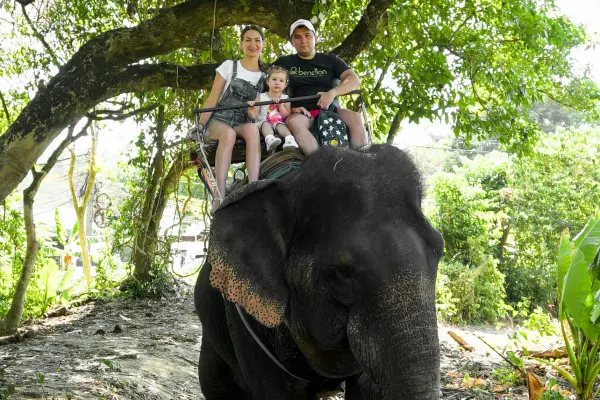 Катание на слоне на Пхукете – прогулка по джунглям, 30 минут