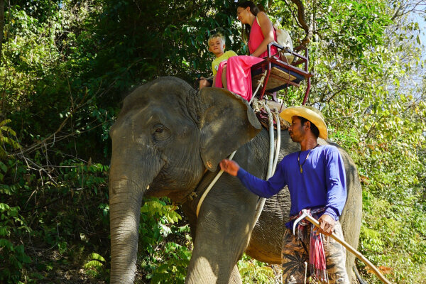 Катание на слоне на Пхукете – прогулка по джунглям, 30 минут