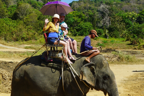 Катание на слоне на Пхукете – прогулка по джунглям, 30 минут