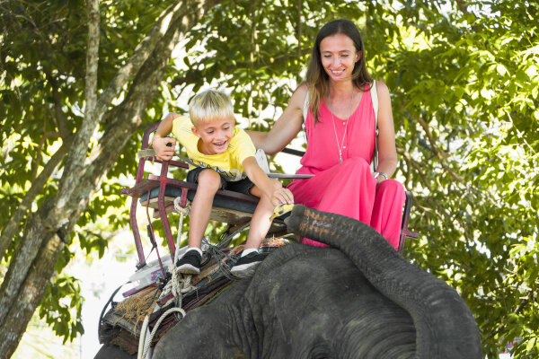 Катание на слоне на Пхукете – прогулка по джунглям, 30 минут