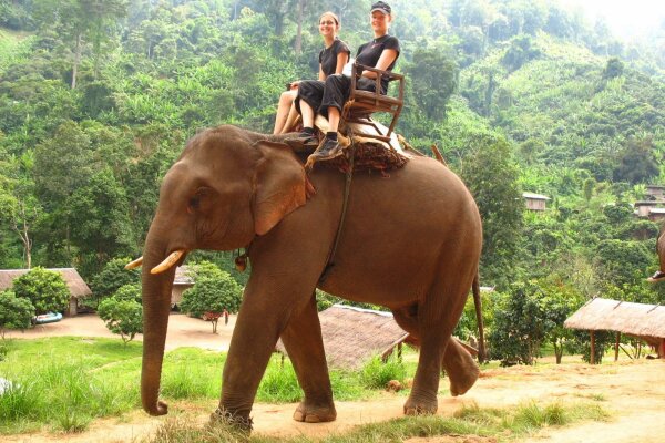 Катание на слоне на Пхукете – прогулка по джунглям, 30 минут