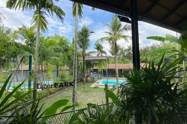 Парк тигров