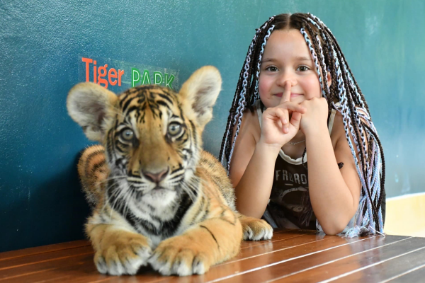 Парк тигров