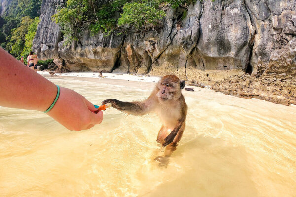 Ленивые Пхи-Пхи и Кай – комфортная экскурсия с поздним выездом