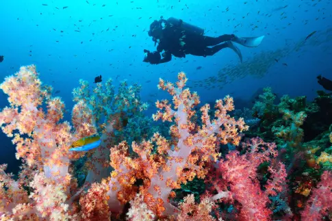 Симиланские острова с ночевкой на корабле