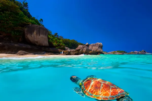 Симиланские острова с ночевкой на корабле