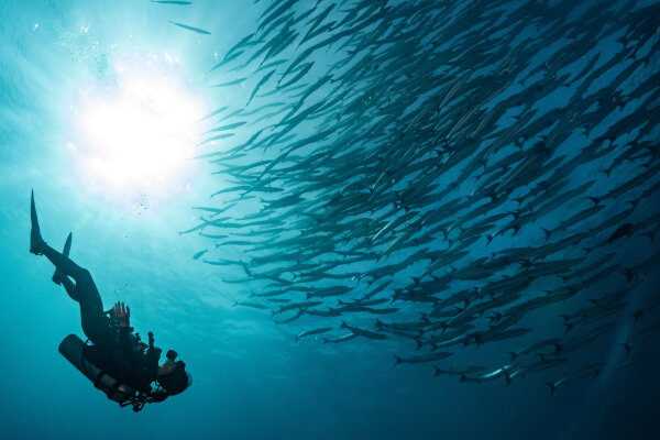 Симиланские острова с ночевкой на корабле