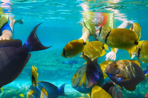 Симиланские острова с ночевкой на корабле