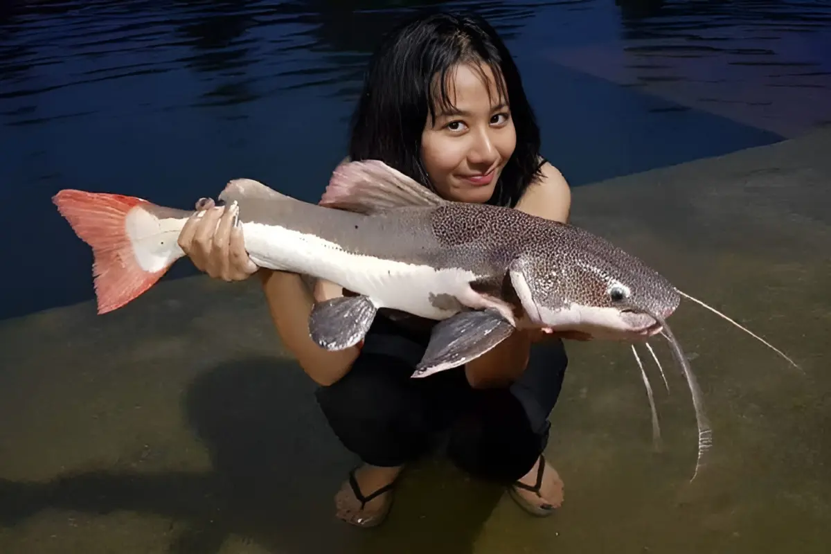 Озерная рыбалка на Пхукете с гарантированным уловом