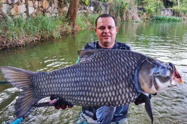 Озерная рыбалка на Пхукете с гарантированным уловом