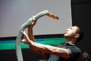 Реальный Пхукет - авторская обзорная экскурсия по Пхукету