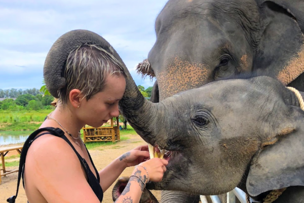Phuket Elephant Care – наблюдение, общение и кормление слонов