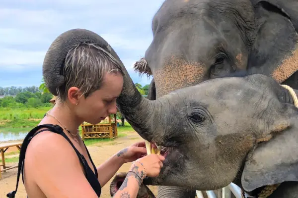 Phuket Elephant Care – наблюдение, общение и кормление слонов