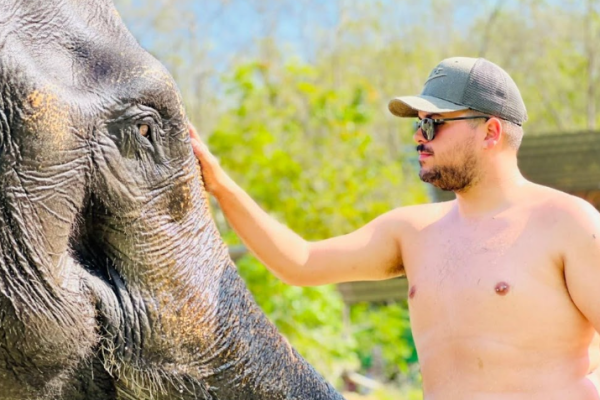 Phuket Elephant Care – наблюдение, общение и кормление слонов