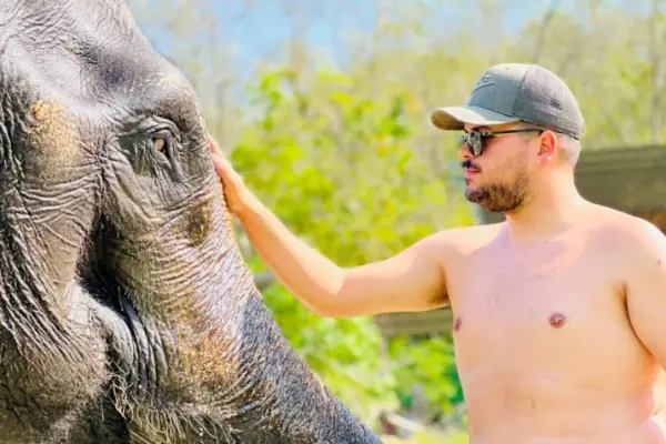 Phuket Elephant Care – наблюдение, общение и кормление слонов