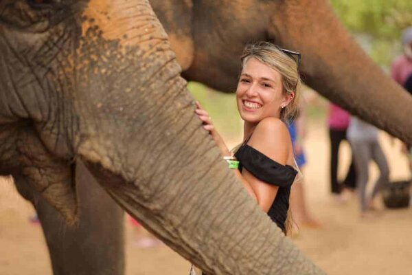 Phuket Elephant Care – наблюдение, общение и кормление слонов