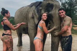Phuket elephant care
