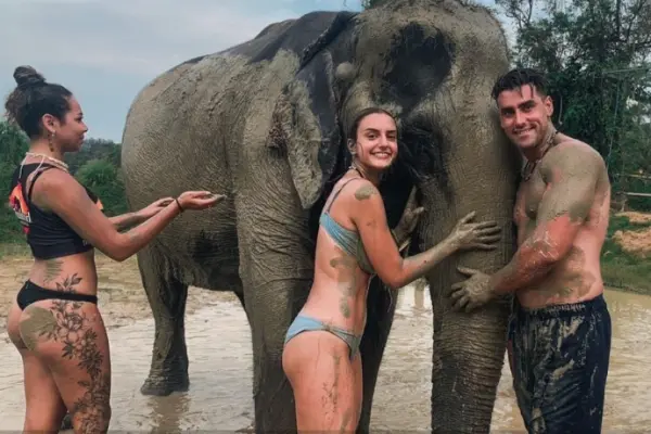 Phuket elephant care