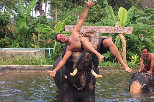 Лагерь развлечений Камала – катание на слонах и семейный отдых на Пхукете