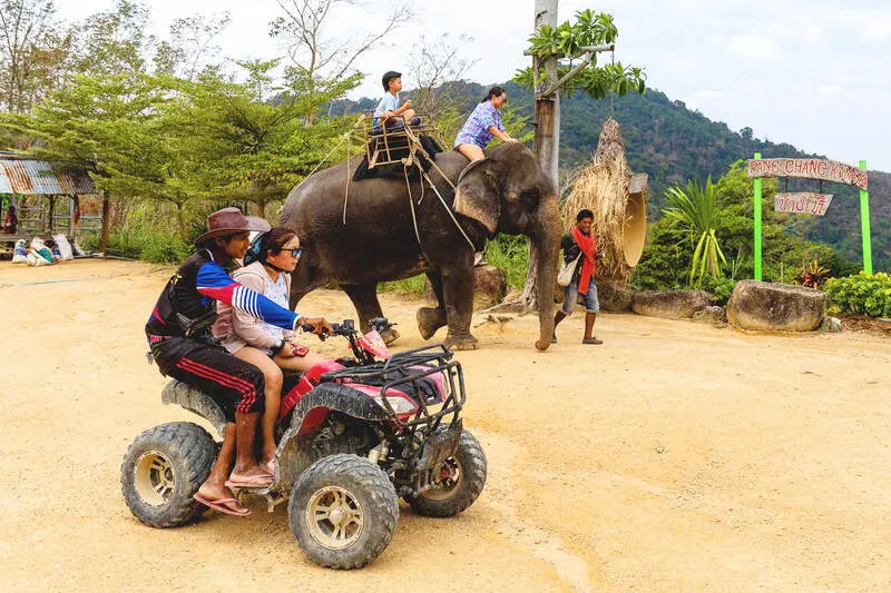 Лагерь развлечений Камала – катание на слонах и семейный отдых на Пхукете