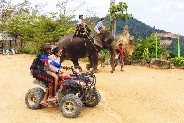 Лагерь развлечений Камала – катание на слонах и семейный отдых на Пхукете