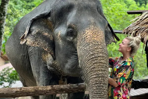 Phuket eco tour - swiming with Elephant
