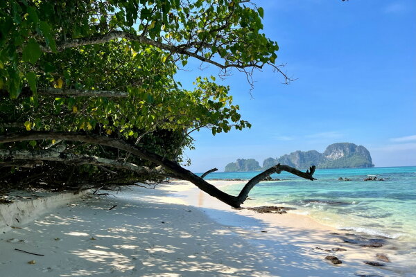 Острова Пхи-Пхи с ранним выездом – комфортная программа на спидботе