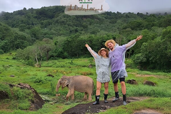 Парк слонов Букит – кормление и наблюдение за слонами в природной среде