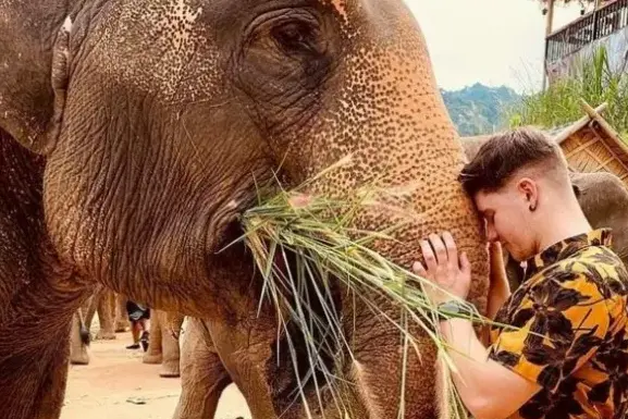 Парк слонов Букит