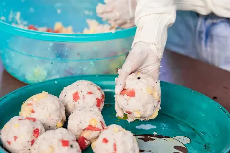 Парк слонов Букит