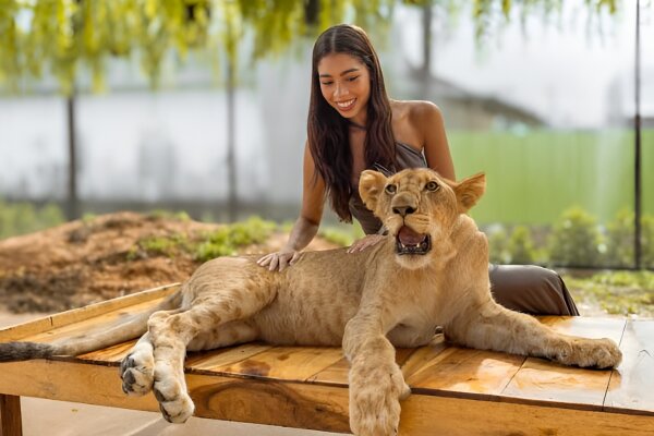 Парк львов на Пхукете – фото и встреча со львами