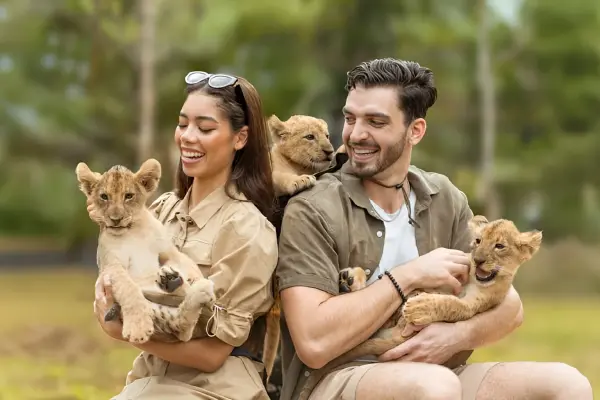 Парк львов на Пхукете – фото и встреча со львами