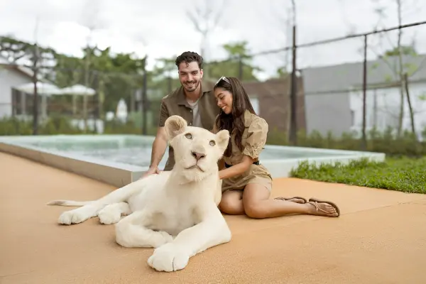 Парк львов на Пхукете – фото и встреча со львами