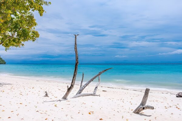 Острова Рок и Ха – королевские острова