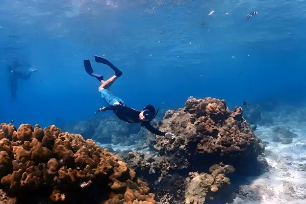 Острова Рок и Ха – королевские острова