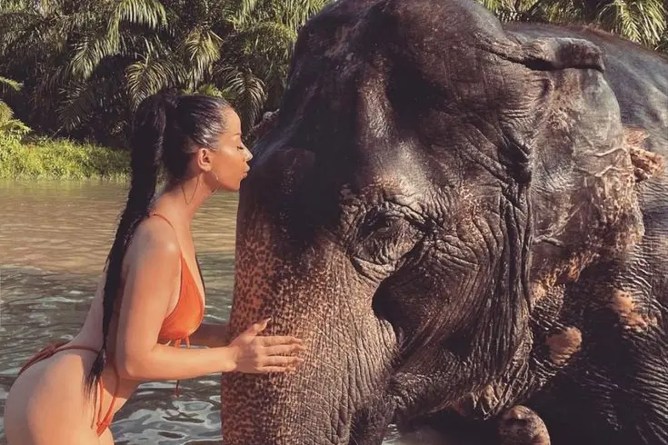 Заповедник слонов в Као Лаке – экскурсия на полдня