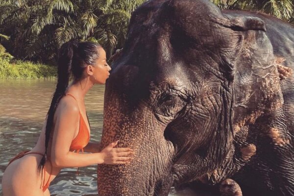 Заповедник слонов в Као Лаке – экскурсия на полдня