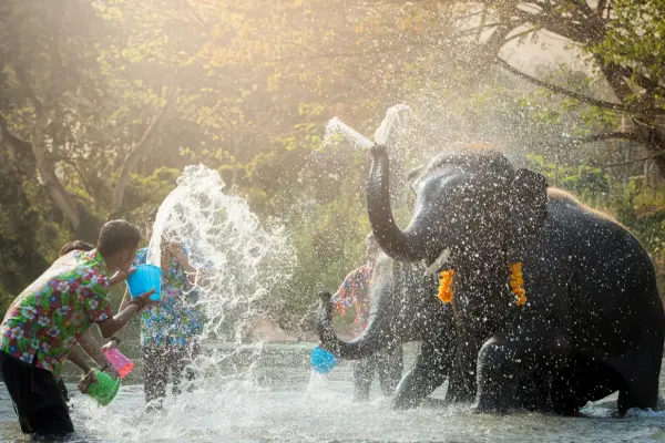 Заповедник слонов в Као Лаке – купание и кормление слонов