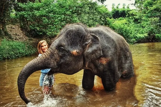 Заповедник слонов в Као Лаке – купание и кормление слонов
