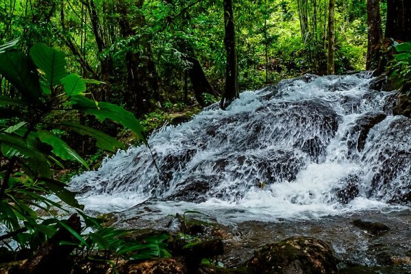 Экскурсия в национальный парк Као Лак - храм Лежащего Будды, катание на слонах