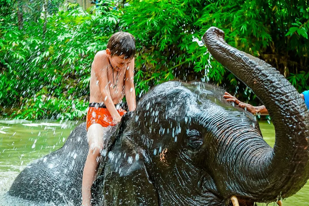 Экскурсия в национальный парк Као Лак - храм Лежащего Будды, катание на слонах
