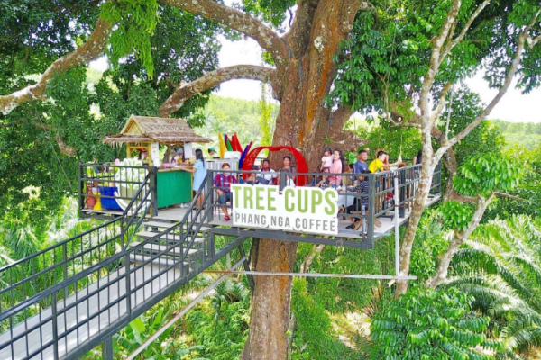 Ленивое озеро Чео Лан - экскурсия в национальный парк Као Сок