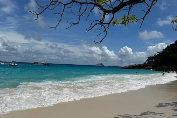 Симиланы на катамаране – люкс программа (старт с пирса Тапламу)