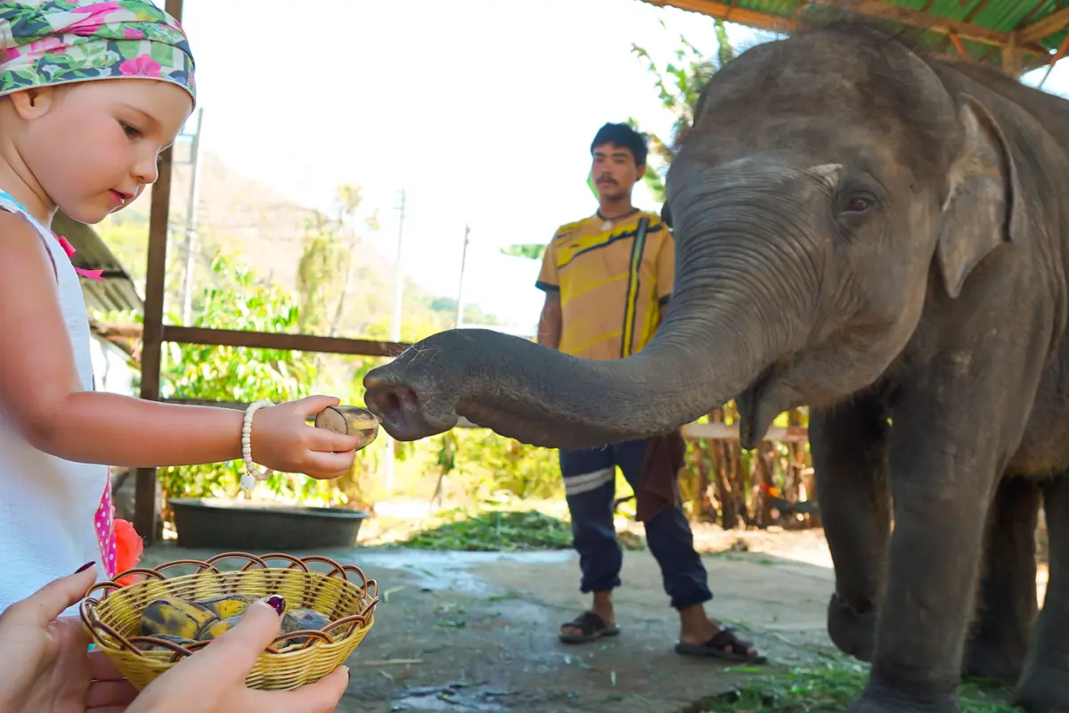 Сказки Као Лака - экскурсия в национальный парк Као Лак