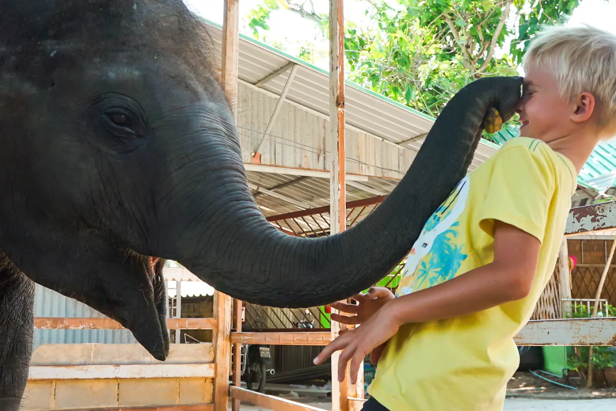 Сказки Као Лака - экскурсия в национальный парк Као Лак