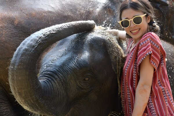 Elephant Care Park Nai Dee – заповедник слонов на Пхукете с кормлением и прогулкой