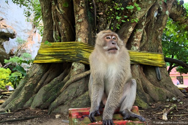 Рафтинг-приключение – для любителей активного отдыха